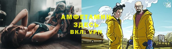 индика Алзамай