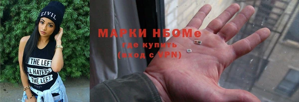 индика Алзамай