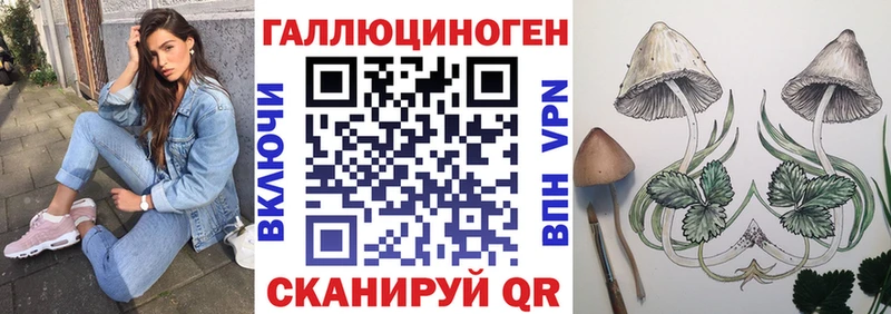 darknet наркотические препараты  Аткарск  Псилоцибиновые грибы мицелий 